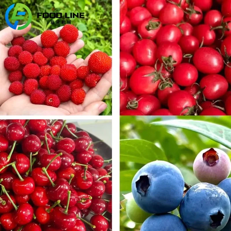 آلات تجهيز الفواكه والخضروات، آلة فرز قطر الفاكهة والكرز والطماطم والتوت الصغيرة