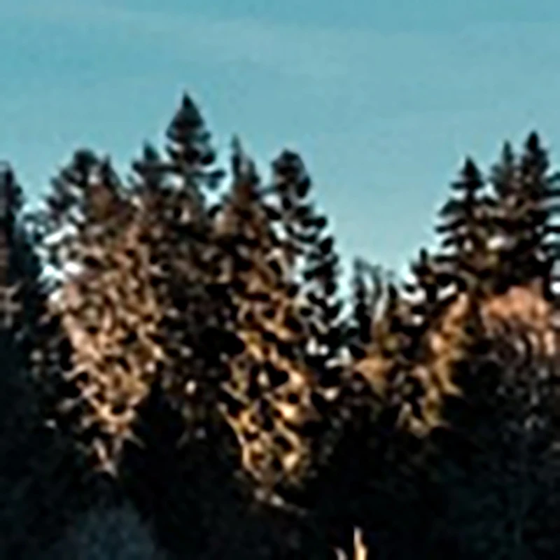 المرأة الشتاء الملابس الداخلية الحرارية أعلى سلس زائد المخملية قميص سترة دون أكمام الدافئة الإناث الملابس الداخلية بلون مثير الملابس الداخلية #1