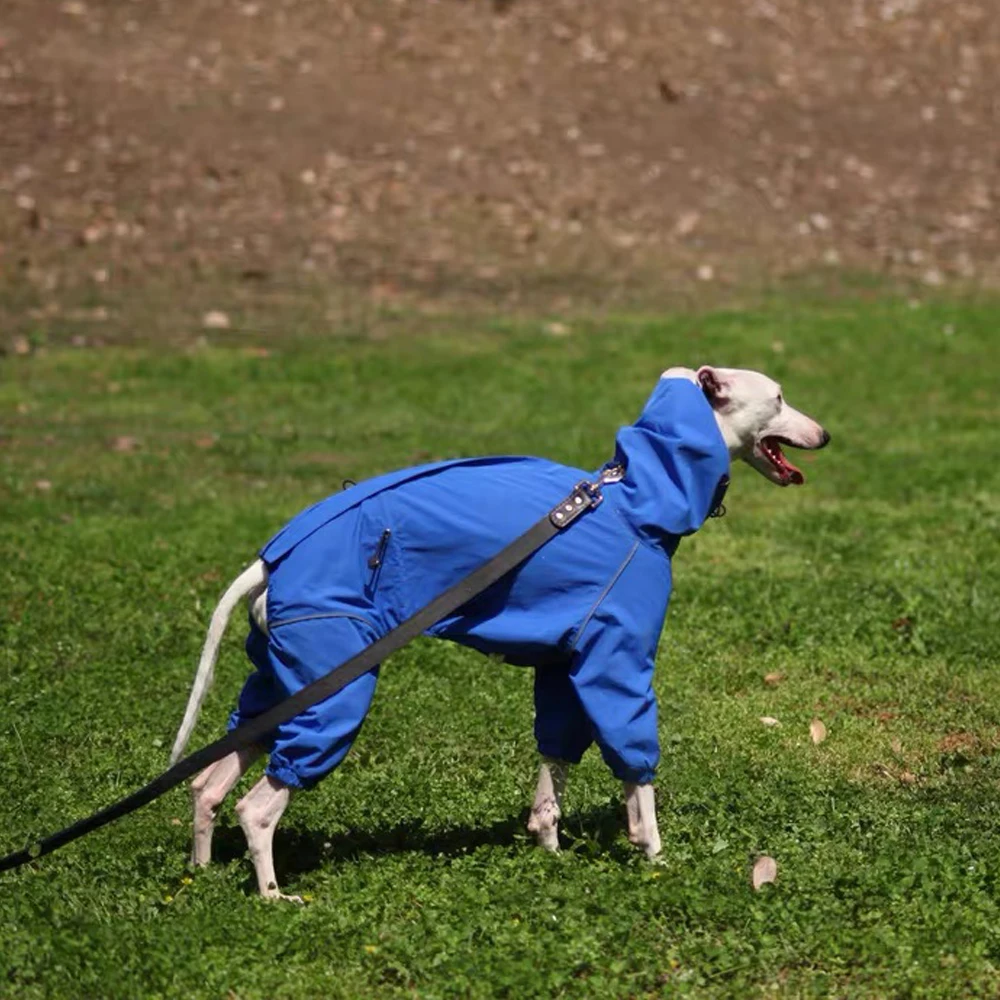 

Blue Waterproof Jacket for Terrier Dogs 4-legged Windproof Raincoat for Italy Greyhound Inner Mesh Breathable Coat for Whippet