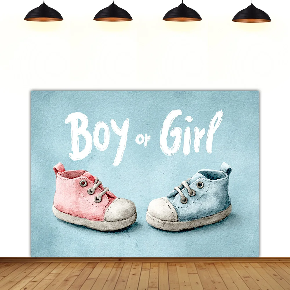 

Gender Revealed theme background boy girl pink blue bear be born baby mother-to-be party new life backdrop
