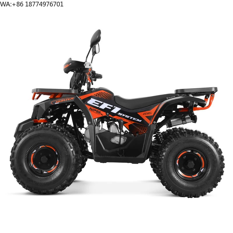 Tao Motor 2024 New EFI Electronic Fuel Injection ATV 125 Cheap Chinese Automatic with Reverse Chain Drive Farm ATV 125cc ATV