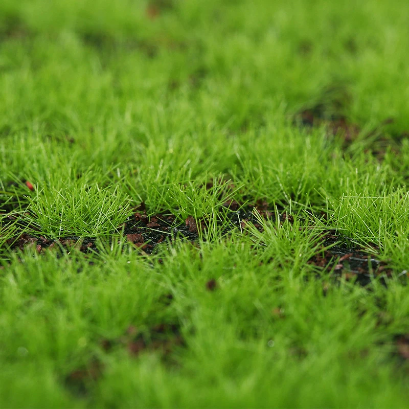 Decorative Fake Moss For Plant Pot, Clean Soil Cover, Beautiful Ornament For Succulent Bonsai And Household Green Plants view 4