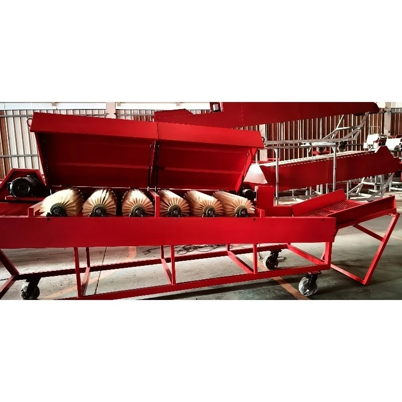 Commercial New Condition Potato Dry Cleaning Machine Fruit Vegetables Continuous Brushes Vegetable Processing Plant Farm Inclu view 3