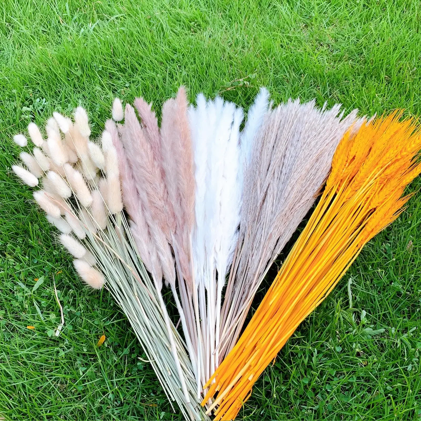 

Natural Wheat Ear Bunny Tails Dried Flowers, Pampas Grass, Home Decor, Boho Wedding Arch Arrangement,Bathroom Decoration, 120Pcs