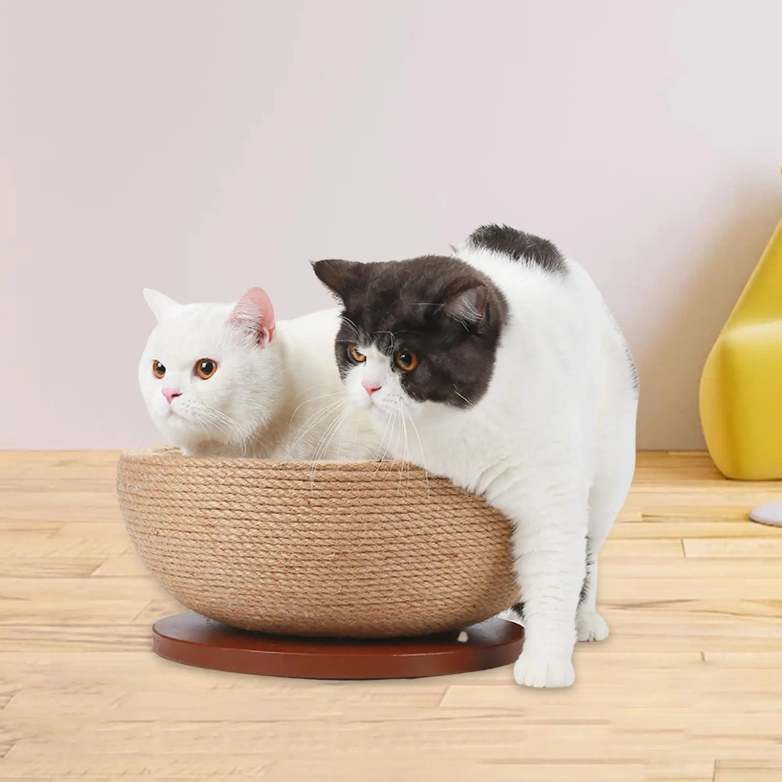 Round Cat Scratcher Board Cat Scratching Lounge Bed Wear Resistant Stable Base 2