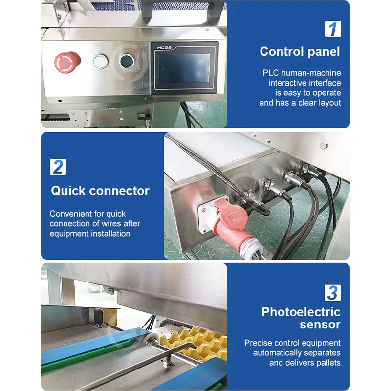 آلة تحميل صينية البيض آلة تعبئة بيض الدواجن آلة تعبئة بيض الدجاج الصغيرة للصينية #4