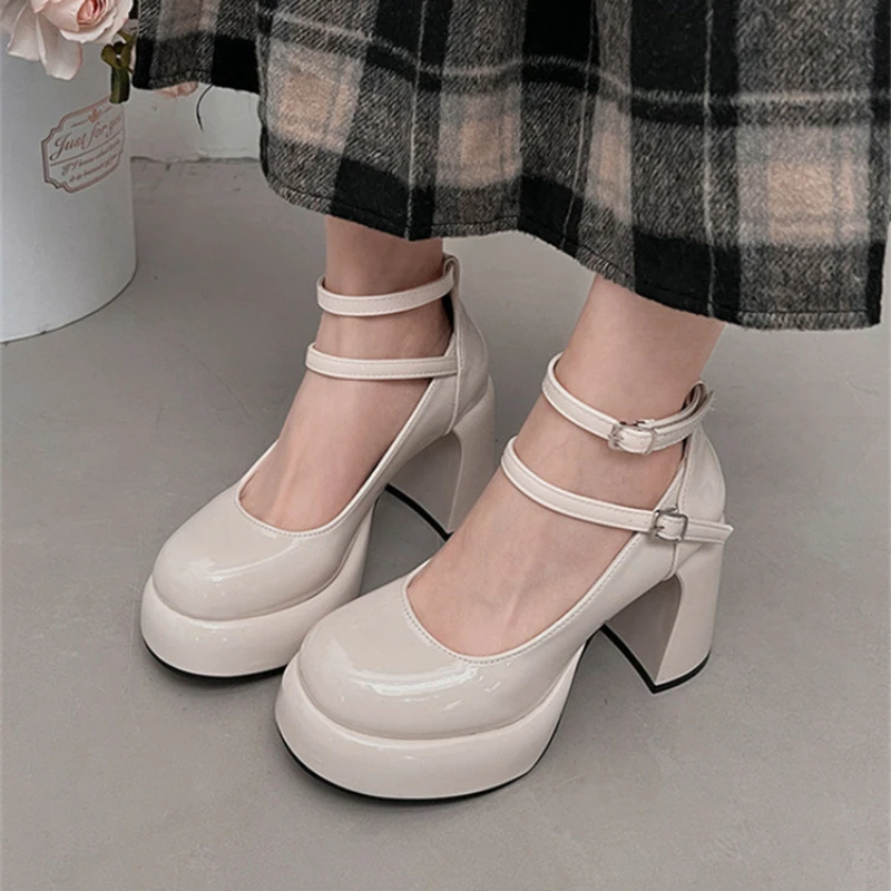 Trendy High Heels 2024 Autumn New Mary Jane Solid Color Thick High Heels Double Button Design Comfortable High Heels Women\'s