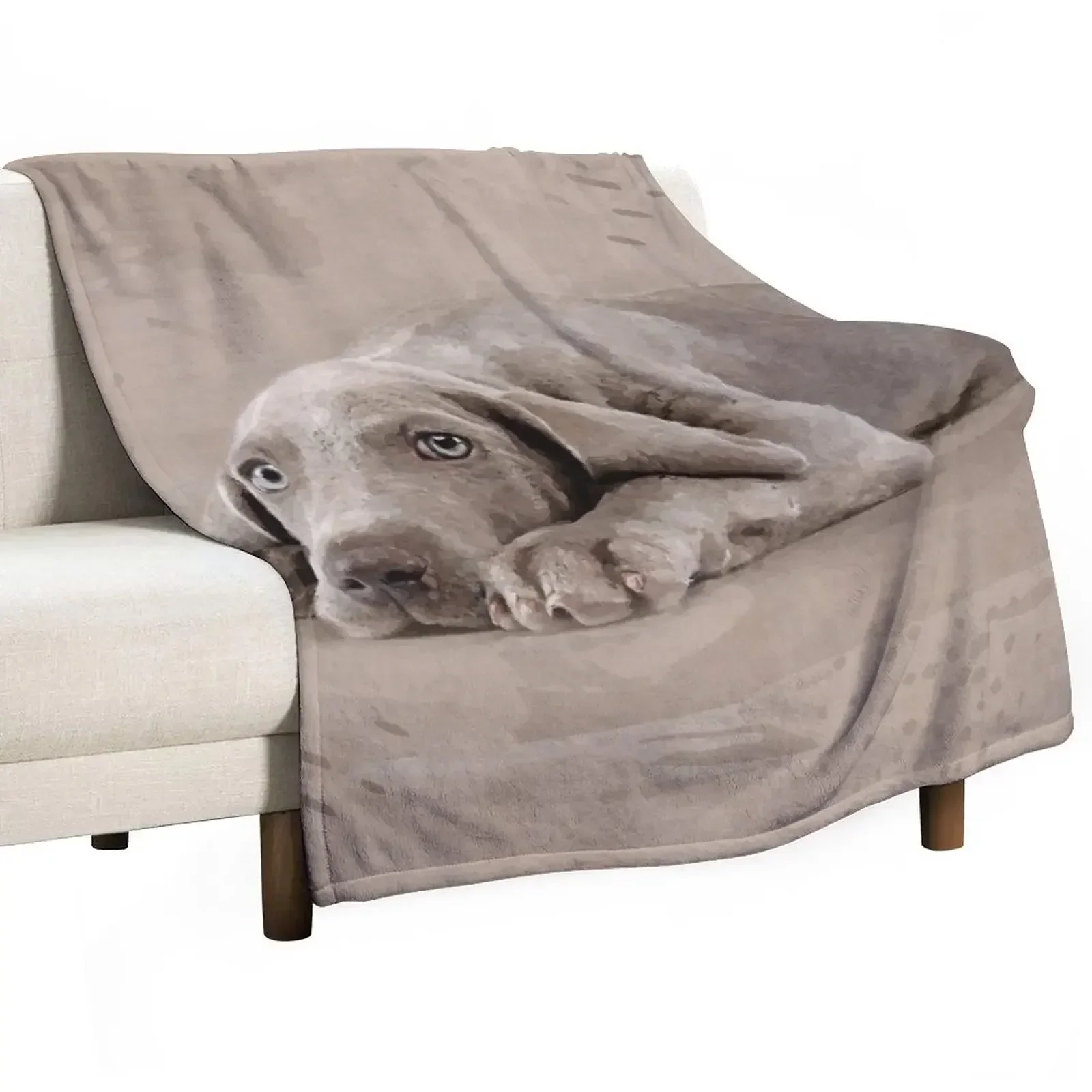 

Weimaraner puppy Throw Blanket Luxury Throw Single for sofa Blankets