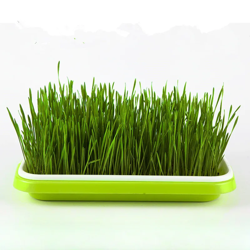 Microgreens Sprouter Tray Hydroponic / Sprouting Tray For Sprout Horticultural Hydroponic Systems Tray Garden Nursery Potted