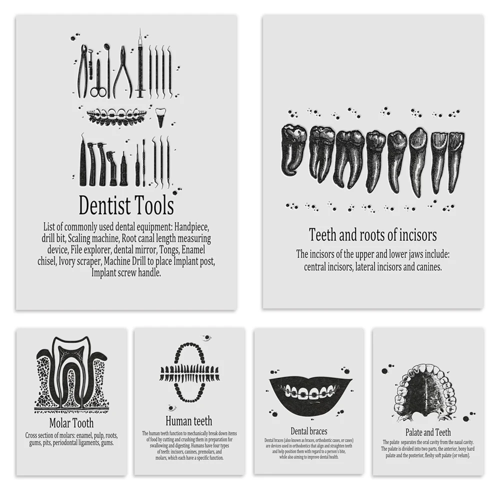 Abstract incisor and tooth root, jaw and teeth, dental infographic, molar implant, tools, oral health poster in dental clinic