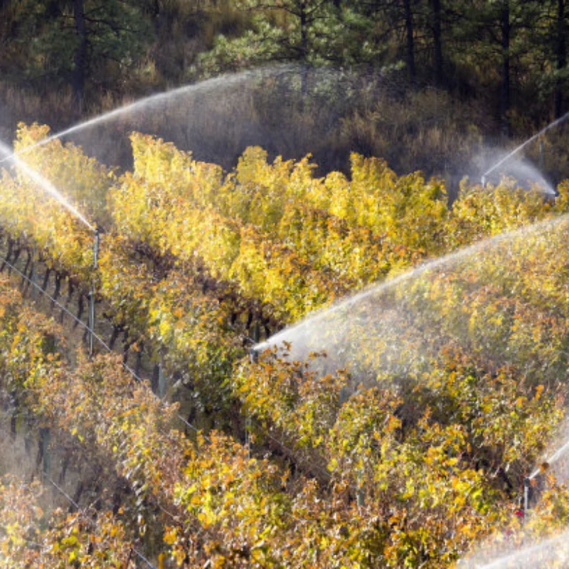 

RC model car remote control car 1/10 car shell column sponge gasket plastic shell protection pad 8 anti-wear buffer washers