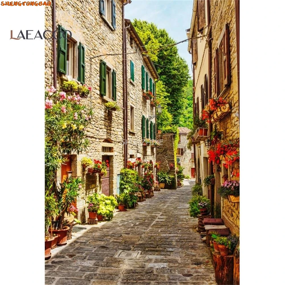 Old Town Potted Flower Vine Alley Corridor House Scenic Photo Backgrounds Photography Backdrops For Photo Studio
