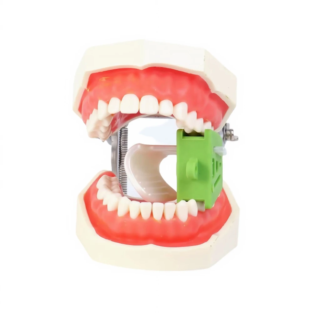 2Pcs Cheek Retractor & Tongue Guard Intraoral Treatment Support Tool Set Dental Mouth Opener Props Bite Block Autoclave S/M/L