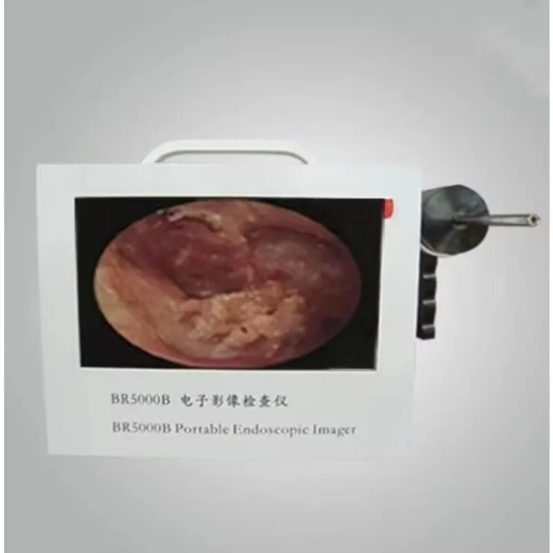 PJBK-01 Digital Veterinary Otoscope for Pet Dog & Cat Exam 9-inch LCD Display Identification Hospital Use