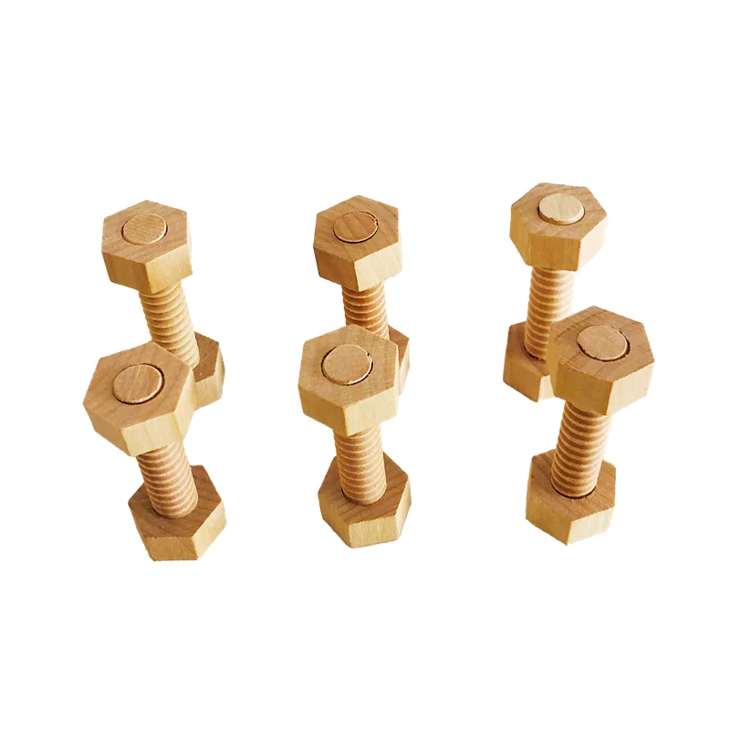 Montessori Nuts and Bolts Wood Screw Activity for Kids Fine Motor Skill Exercise Matching Game Early Childhood Educational Toys