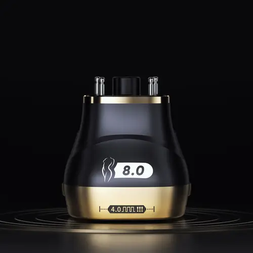 Imagen 2 del producto Sonda reemplazable 22D Cartucho máximo Transductor de cartucho RF Lipo para máquina 2 en 1 22D EMS RF ​