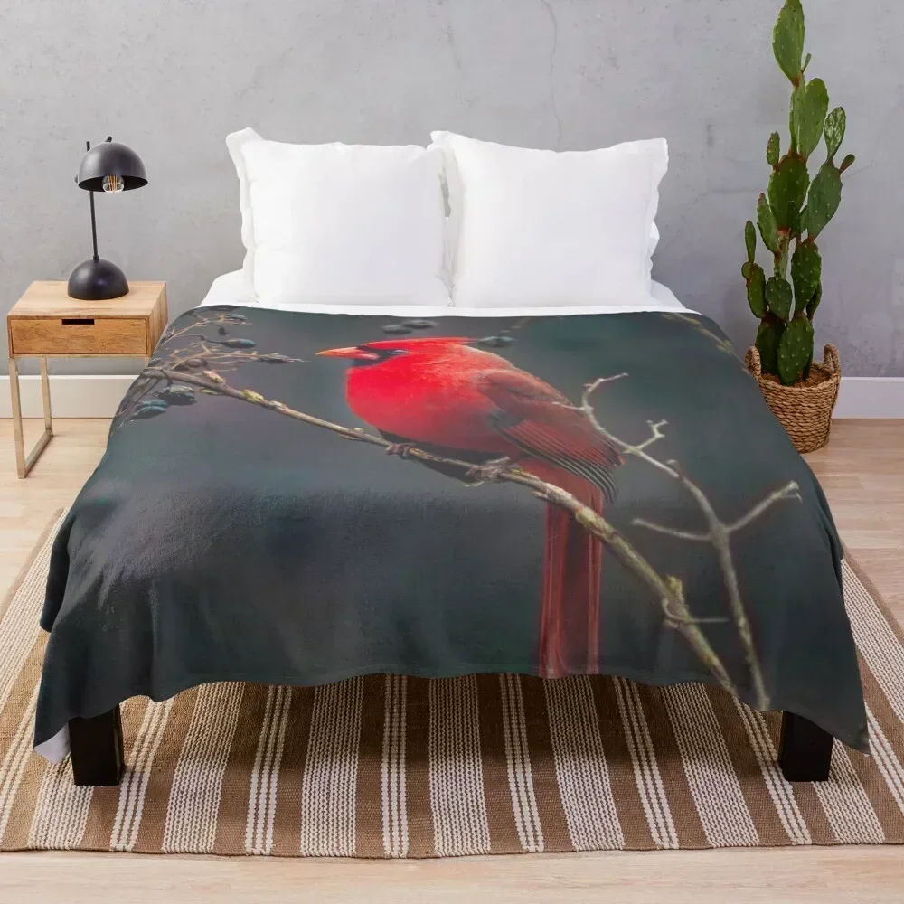

Cardinal On A Branch Throw Blanket Warm Plush Fuzzy Blanket for Living Room