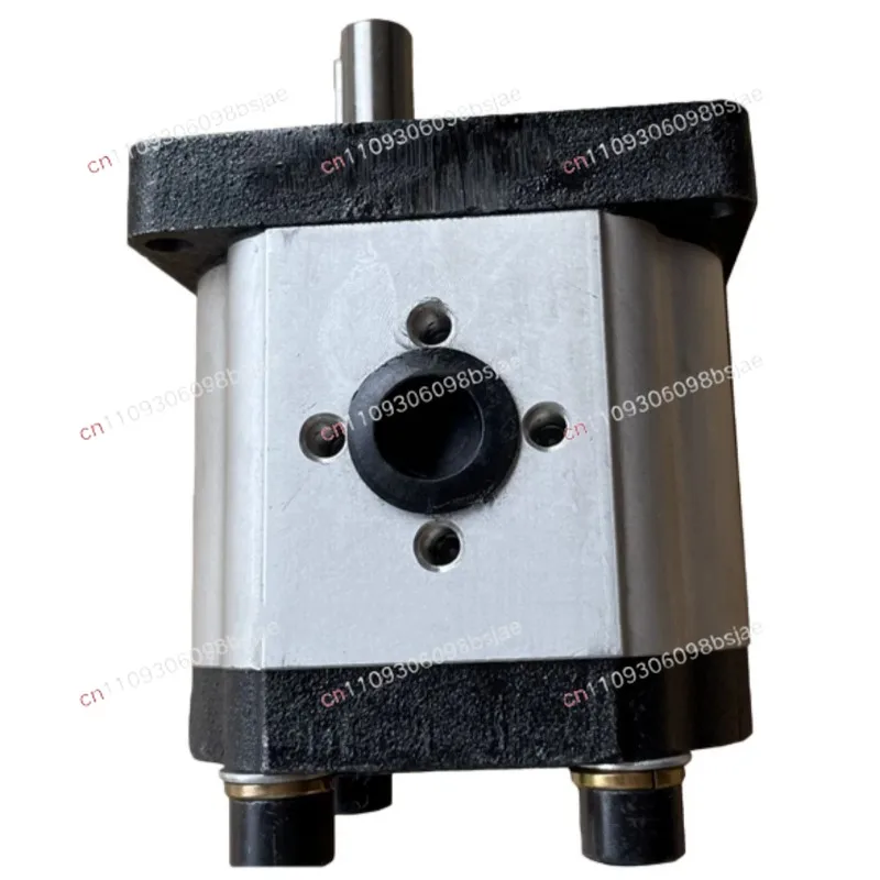 CBN-G320 G316 325 G306 G310 G314 G316 High Pressure Gear Pump WANKE