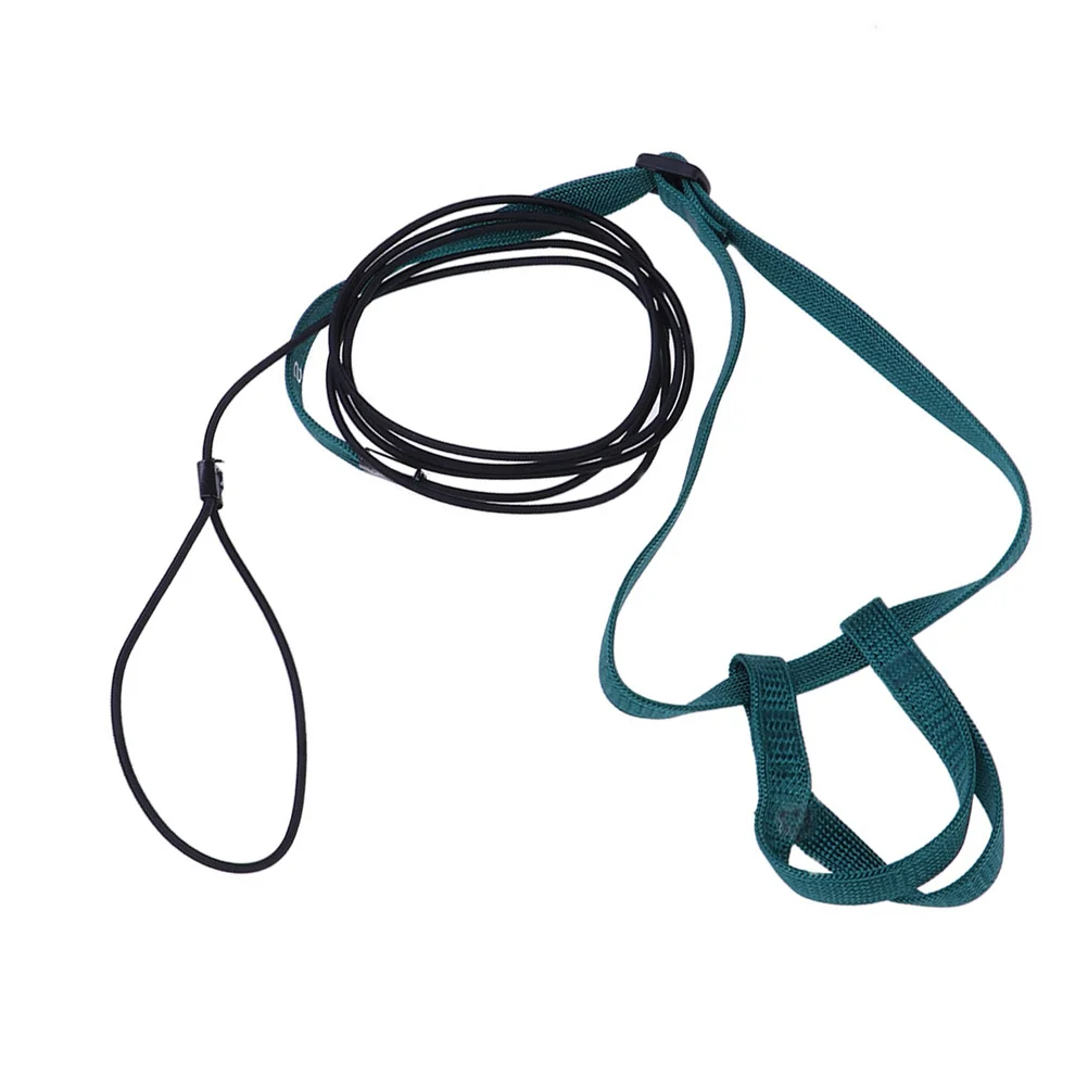 

Pet Bird Harness Parrot Leash Adjustable For Outdoor Walking Training Gear Xs Size Random Color Lightweight Durable Fit