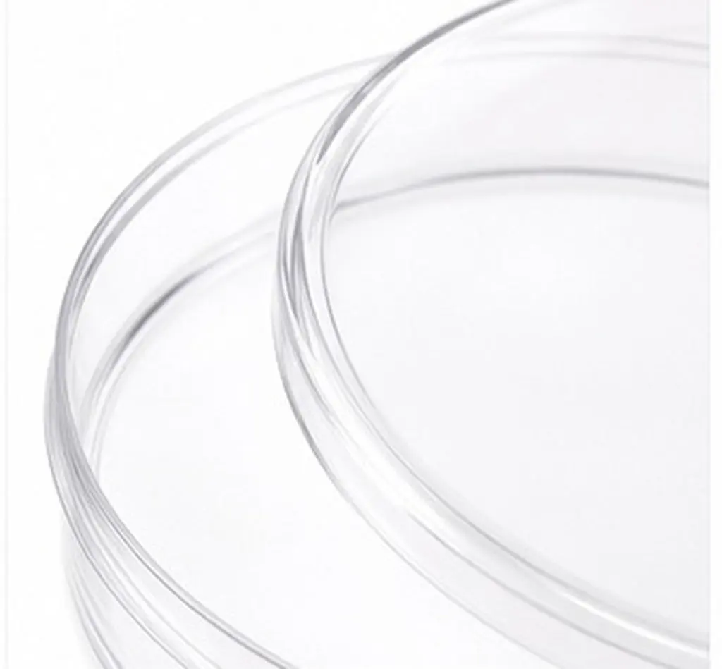 10Pcs Premium Plastic Petri Dishes with Lid Transparent -to-Use for Microbiology Education Lab Research Science
