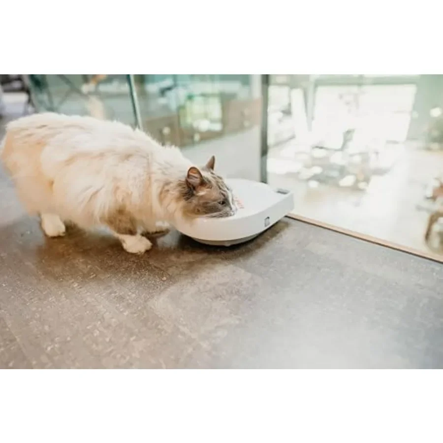 وحدة تغذية الحيوانات الأليفة الأوتوماتيكية C300 ذات 3 وجبات مع مؤقت رقمي للقطط أو الكلاب الصغيرة مناسبة لتسليم أغذية الحيوانات الأليفة الرطبة والجافة حتى 0.7