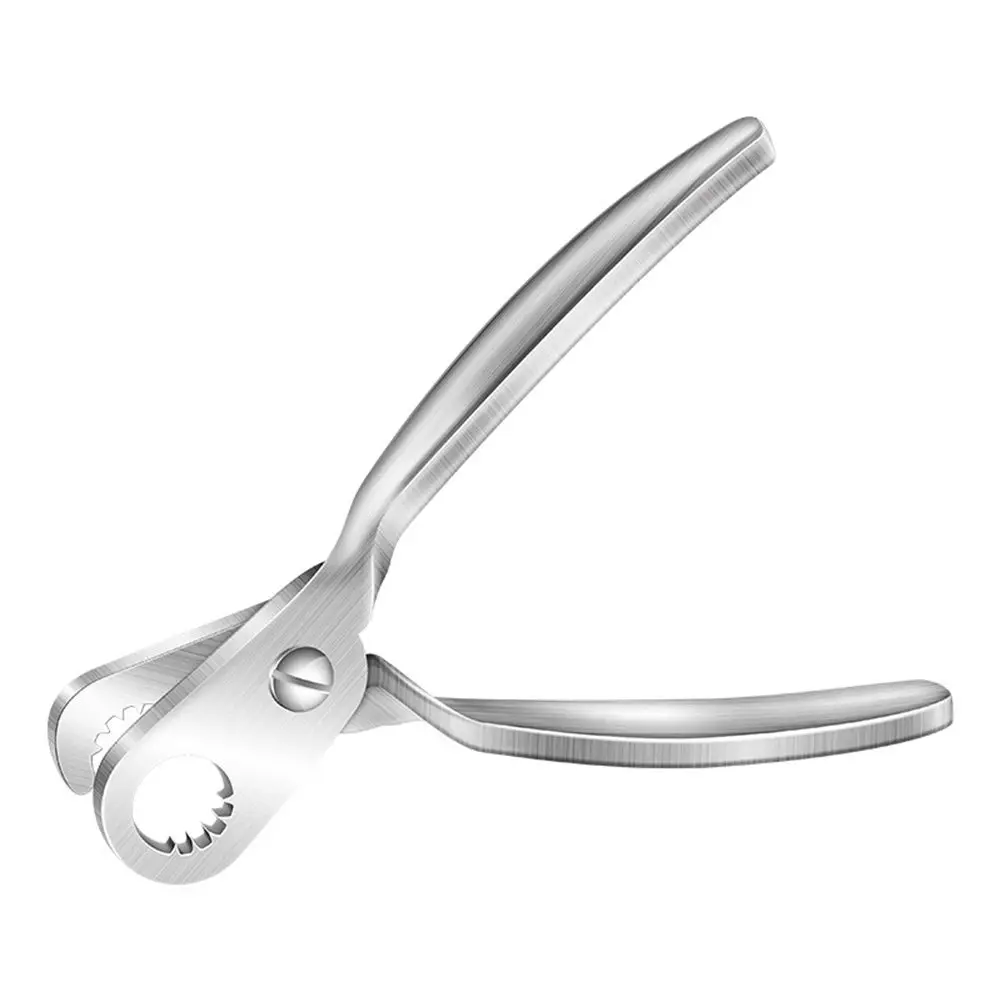 Snail Tail Cutting Tool Bottle Opener Stone Snail Cutter Special Scissors Household Kitchens Stainless Steel Tail Removal Tools