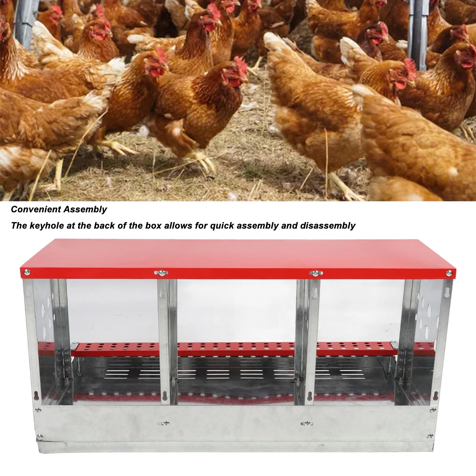 Chicken Nesting Box 3 Compartment Well Ventilated Sturdy Hen Laying Box for Egg Collection