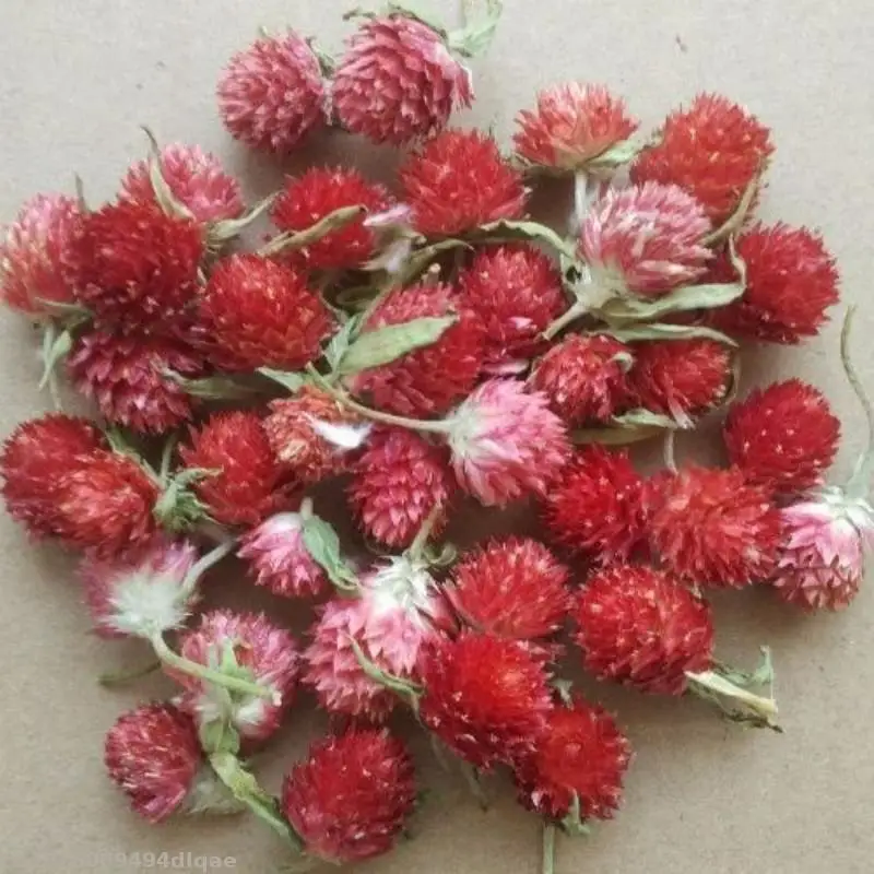 

Top Natural Bulk Thousand Day Red Dried Flowers For Diy Resin Decoration Candle Decoration Wholesale Production Pillow Filling