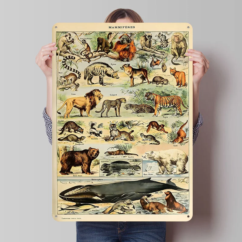 Adolphe Millot Mammals V2 Printed Poster Customized Retro Wall Art Vintage Metal Tin Signs for Decoration Bedroom House Interior