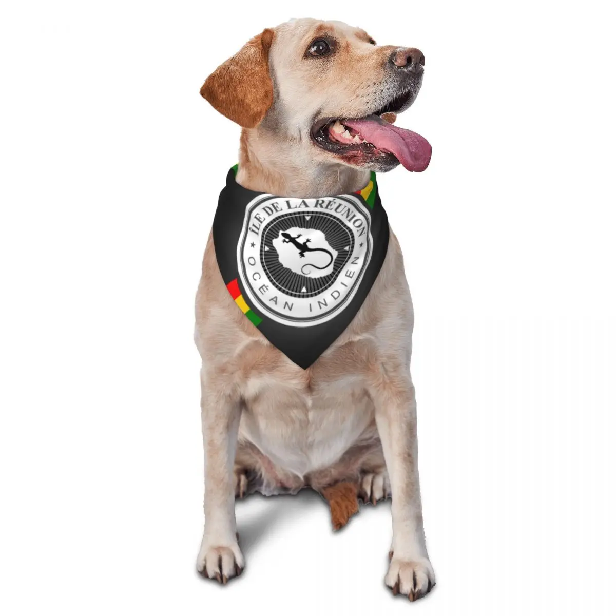 Personalized Ile De… - image