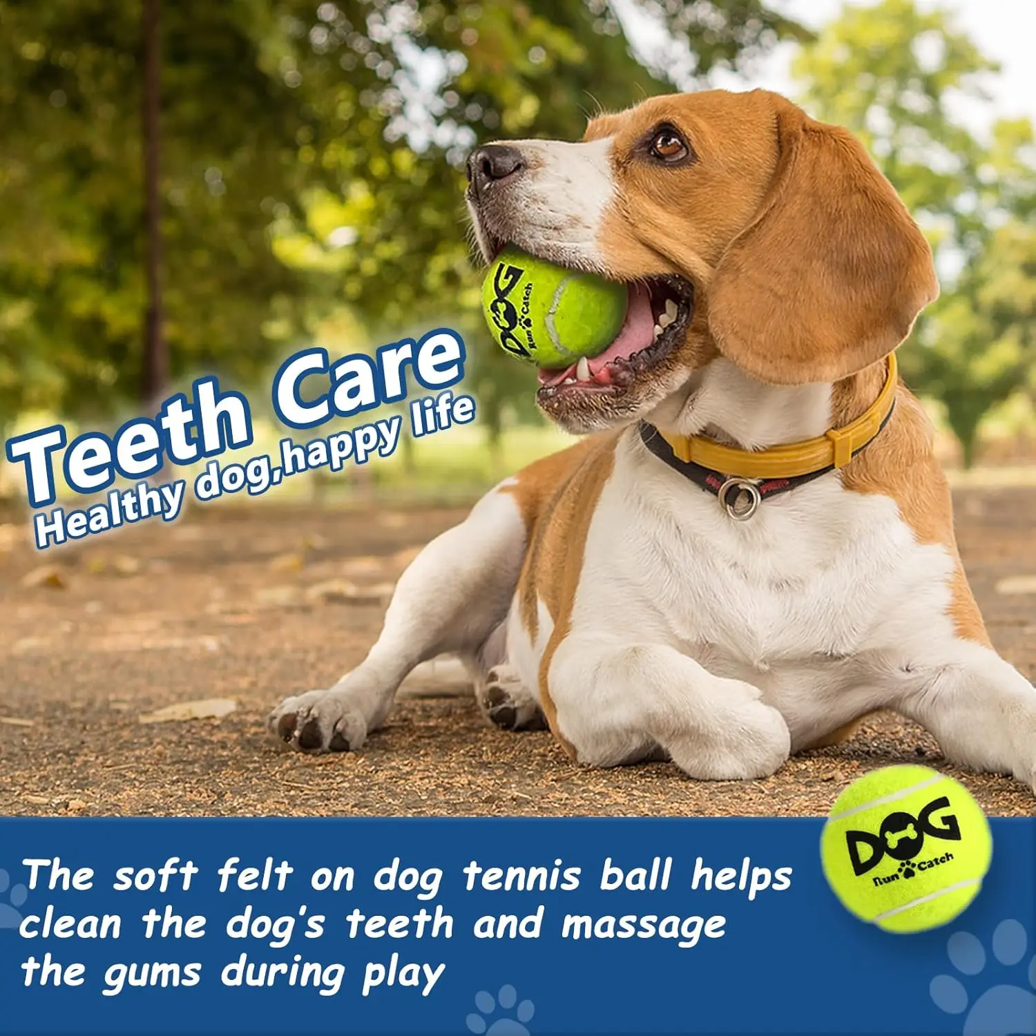 كرات كلب صار ملونة وآمنة من المطاط الطبيعي توفر توازنًا مثاليًا للكرة التي تصدر صوتًا ومتانة للكلاب