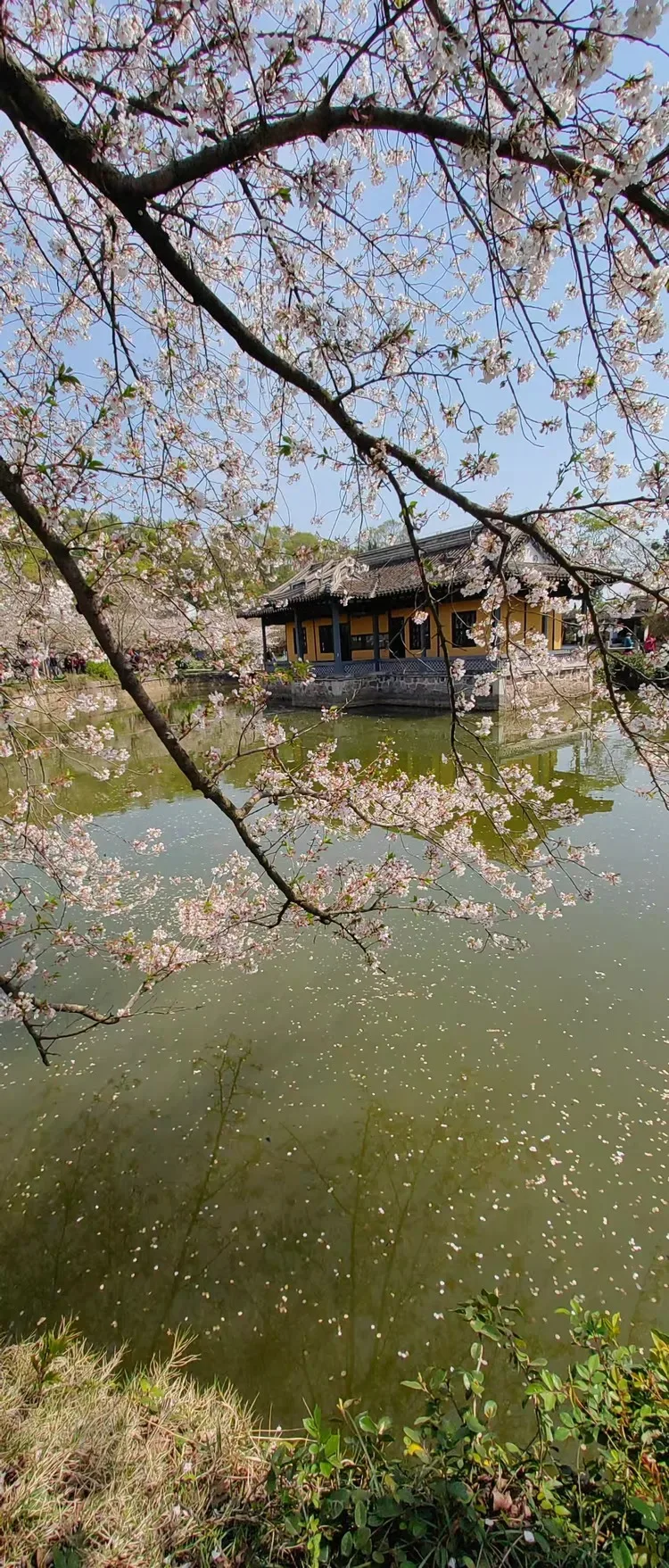 For SCX30 Maintenan…