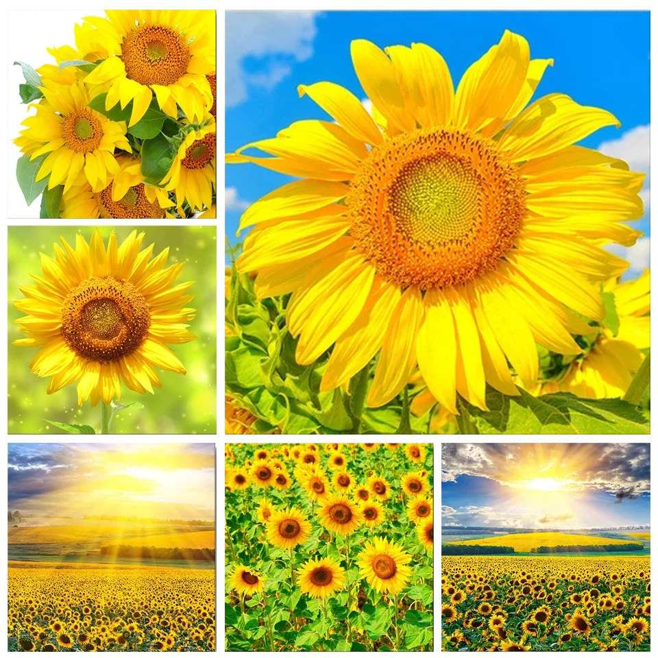 5D DIY الماس اللوحة عبر غرزة عباد الشمس المشهد الماس التطريز فسيفساء الشمال أشعة الشمس المشهد الديكور #1