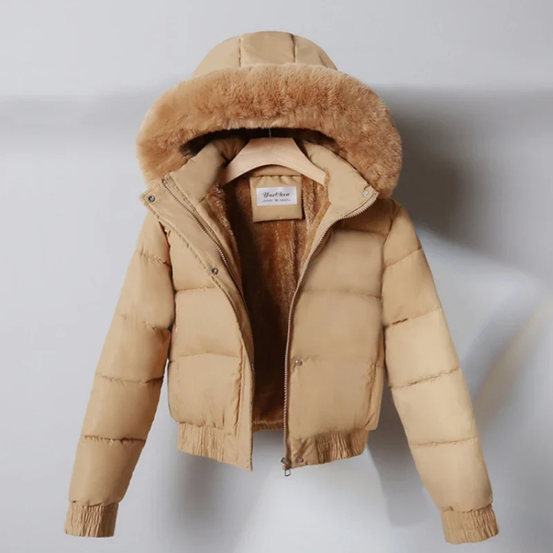 Veste courte en coton optique pour femme, manteau à capuche, fermeture éclair, version coréenne, tendance, hiver, nouveau, 2024