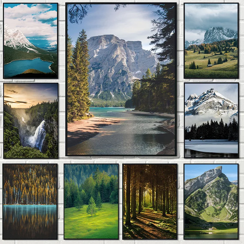 Beautiful Landscape Posters Dark Green Forest Foggy Mountain