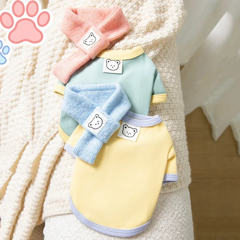 Soft and Comfortable Cat Clothes Macaron Color Autumn Winter Warm Coat with Scarf Base Puppy Kitten Pet Sphinxt Cat Clothes