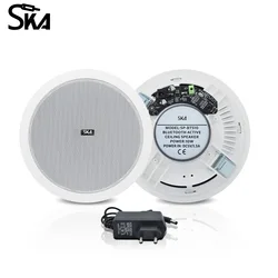 10W 6inch bluetooth ceiling speakers Home Audio System BT In Ceiling Speaker Built In Digital Class D Amplifier for home Theater