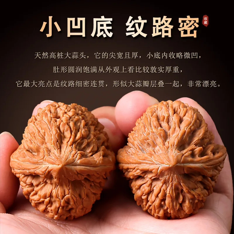 Natural garlic-shaped walnut a treasure from a small well-preserved specimen with a dense intricate grain pattern hard textu