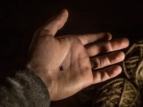 6 best sales professionella magiska trick - №2