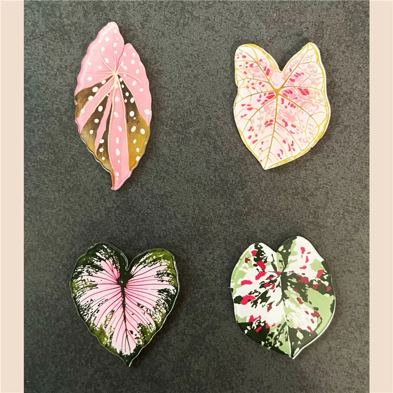 6pcs Cute Begonia Monstera Refrigerator Magnets, Kawaii Tropical Plants Refrigerator Magnets, Whiteboard Stickers