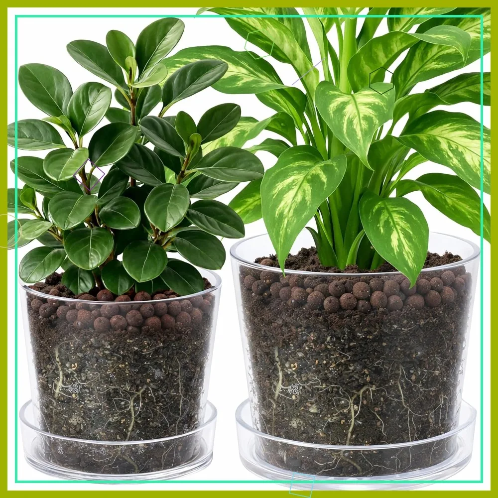 

Clear Acrylic Planter Pot 8/10 Inch with Tray, Orchid Pot with Drainage Holes, Transparent Container for Indoor Plants
