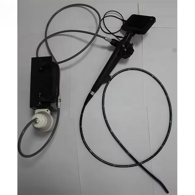 Multifunktionales tragbares Video-Gastroskop Veterinärgastroskop MSLVF02