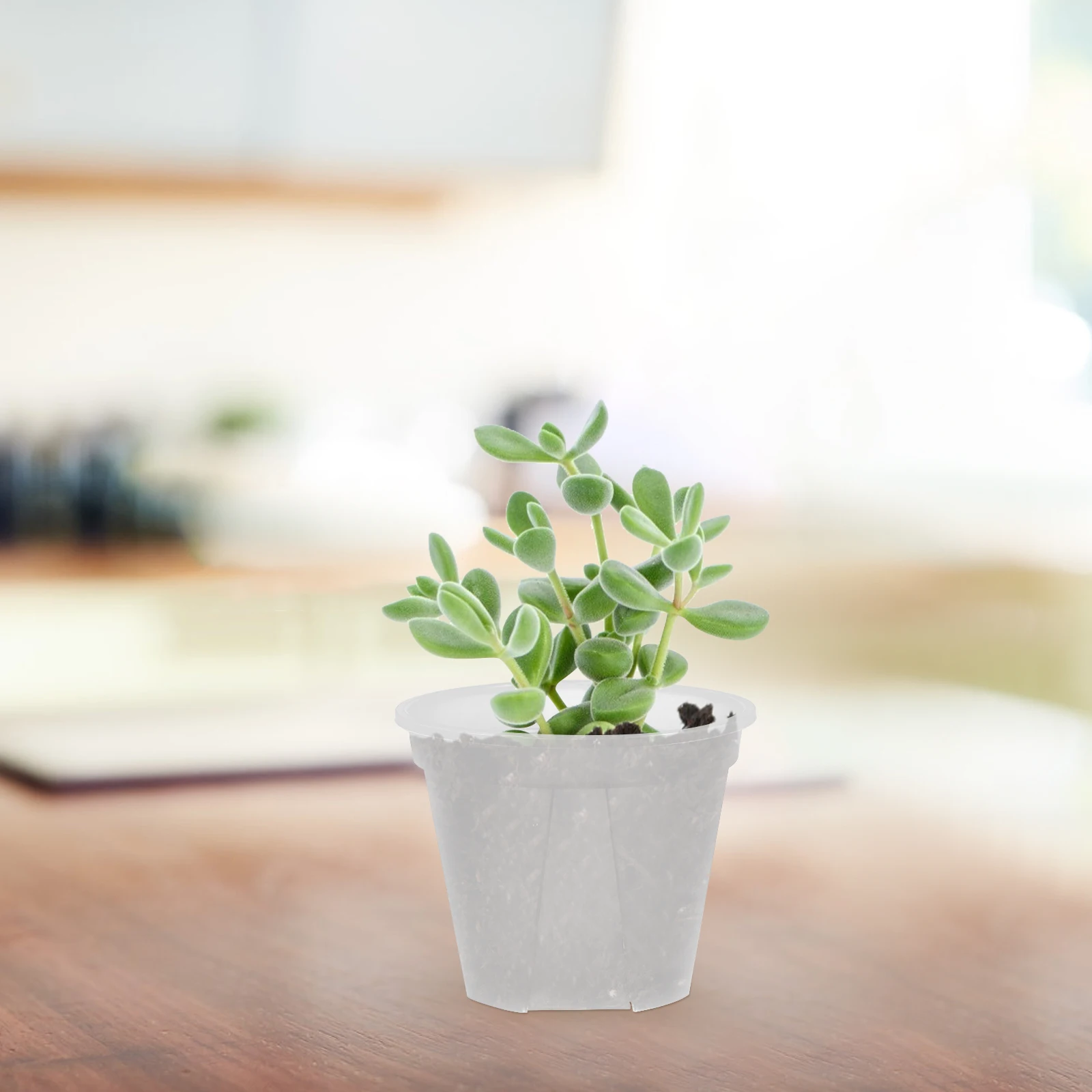 

10Pcs Clear Plastic with Drainage Holes Transparent Pots for Plants Succulents Cactus Flowers Indoor Outdoor Decoration