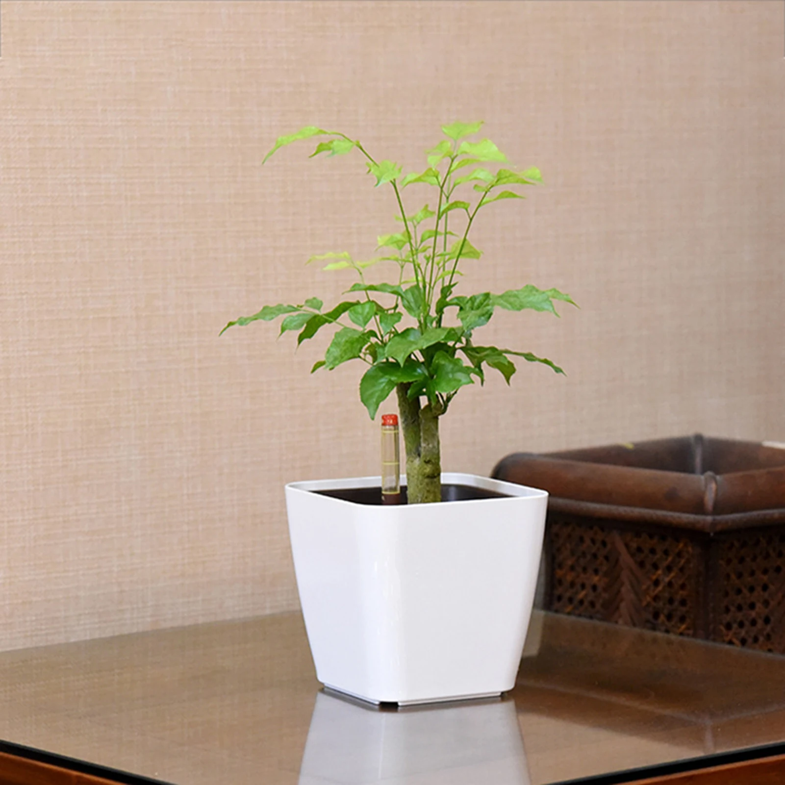 Self Watering Plant Pots Square Mini Flower Pots With Water Level Indicator Automatic Planters For Peace Lily Orchid Succulents
