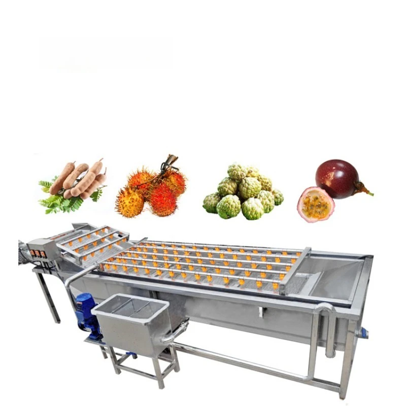 Water Circulation Lettuce Tomato Strawberry Leaf Vegetable and Fruit air Bubble Washing Machine
