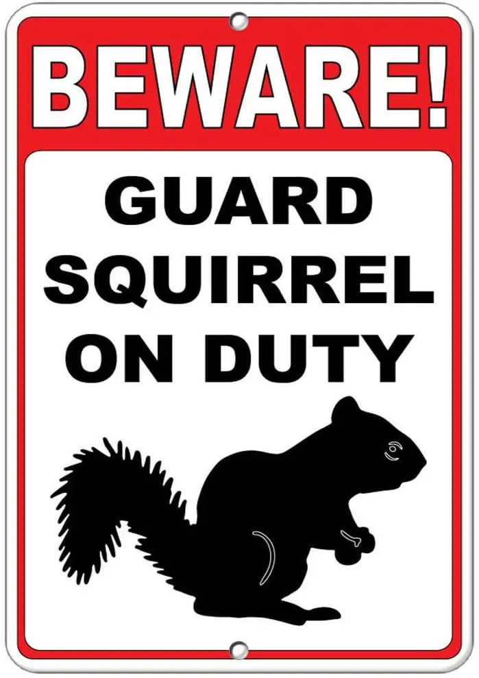 Beware! Guard Squirrel On Duty Funny Quote  Metal Tin Sign-aluminum sign