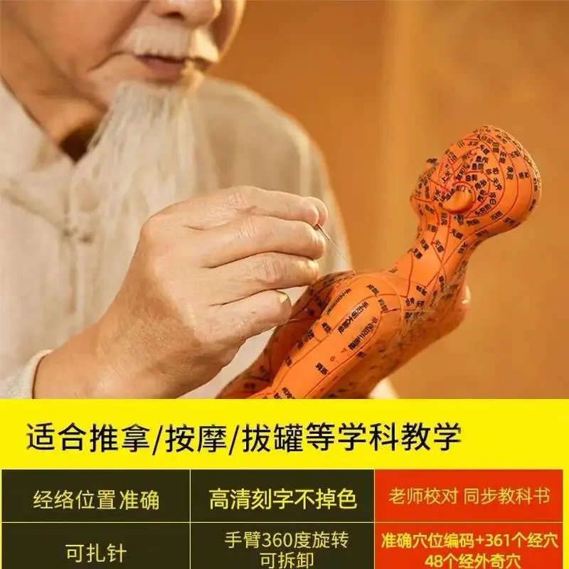 Acupoint human model, can pierce needles and meridians, whole body traditional Chinese medicine small copper man model twelve