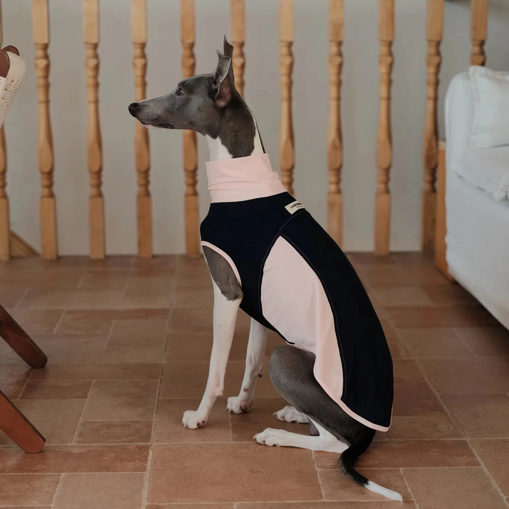 Sommer-Kühlweste für Greyhounds UPF50+ Ultraleichte Sonnenschutz-Softjacke für Whippets Atmungsaktive Ärmel für Windhunde