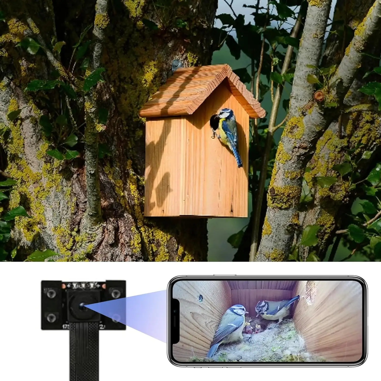 

4K WiFi Bird Box Camera with Night Vision, Live Video to Phone, Easy Installation for Bird Houses and Feeders