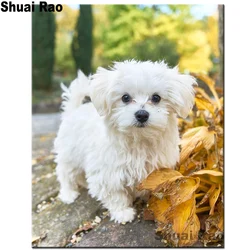Diamond embroidery Maltese full square round drill diamond painting kits 5d diy diamond mosaic animal pet dog home decoration,